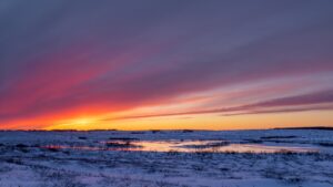 Image of a winter landscape with heavy snowfall and freezing temperatures, representing the impact of an Arctic blast. This weather phenomenon is connected to lessons from Islamic history on facing natural adversities with faith and perseverance."